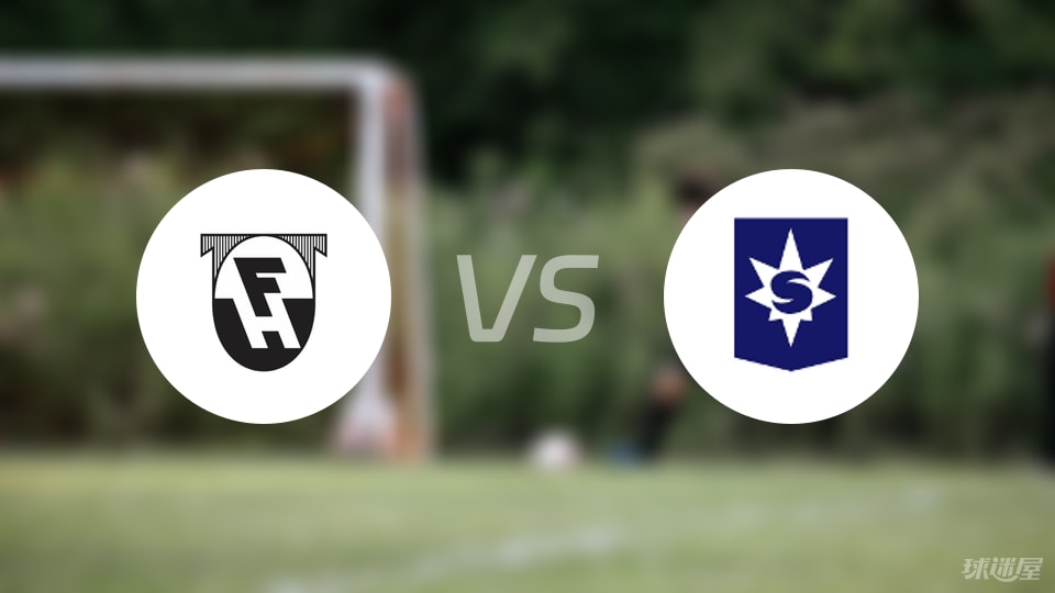 哈夫纳夫约杜尔vs斯塔尔南首发